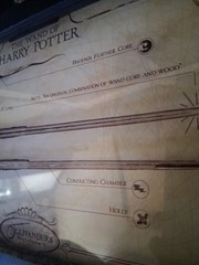 HARRY POTTER WAND OF HARRY 14×8 1/2″ FRAMED POSTER MOVIE
