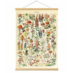 Vintage Flowers Poster Hanger Frame, Plant Floral Reference Chart Wall Decor …