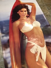 1986 April Wayne (Jayne) Ujena Swimsuit Model Girl On Board JUMBO 26″x76″ Poster