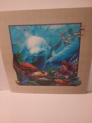 Sea Life 3D Dolphins Turtles Lenticular Picture 15.5X15.5″ Pic 11.5X 11.5 Inset