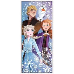Disney Frozen 2 Door Poster 27 x 60 Inch – Enchanting Party Decoration for…