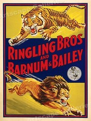 1940s Ringling Barnum & Bailey Lion & Tiger Circus Poster – 24×32