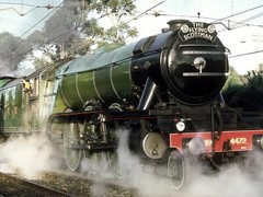 Flying Scotsman Steam Locomotive POSTER 24 X 36 Inches Nice!