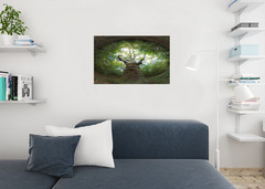 Tree of Life 360 Degree View Photo Art Print Poster 24×36 inch