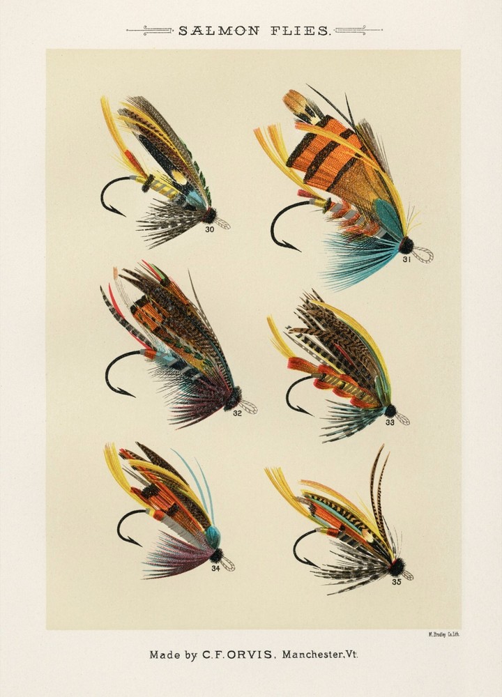13823.Decor Poster.Room interior art design.Fishing fly.Fish market bait shop