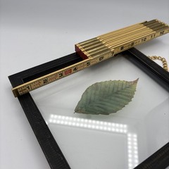 Farmhouse Clear Glass Leaf Picture Gold Chain Black Wood Frame Nature Spa