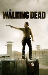 AA5526 The Walking Dead Show By Frank Darabont 2010 Lead Movie Poster 11×17