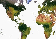 World Map, Gall Stereographic Projection World Map, Framed World Relief Map