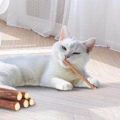 Cat Toys Cat Chew Toys, Silvervine Sticks Catnip Rope Toys for Cats Teeth Cleani