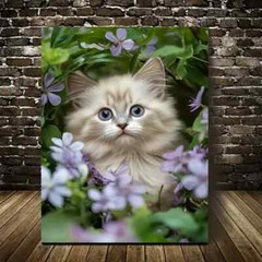 Beautiful Cute Ragdoll Kitten with Flowers Painting Metal Print Ready to Hang