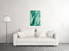 Bohemia Nature Plant Grass New Printing Wall Art Home Decor – POSTER 20×30