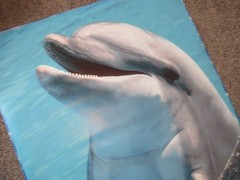 Real Big Fathead Dolphin Seaworld wall poster Large 48×72″ 4×6′