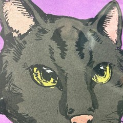 NEW El Gato 56 Framed Black Cat Mexican Art Print Sapna Shah 12×18 Gold Purple