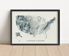 United States Map, USA 2D Relief Map, United States Vintage Map – 2D Flat Print