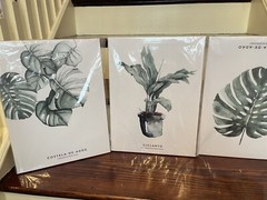 Canvas Print Wall Art 1 2X 16- Potted Palm 3 paintings