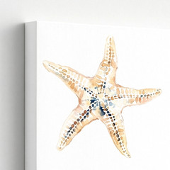 3 Pieces Coastal Starfish Large Wall Art Canvas Set for Living Room Set Of 3