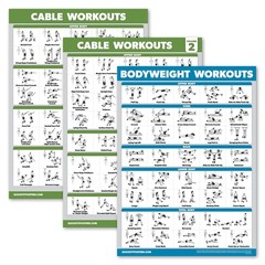 Palace Learning 3 Pack – Cable Machine Workout Posters 18″ x 24″, LAMINATED