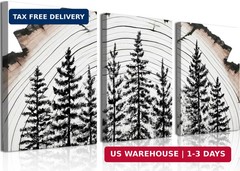 Tree Ring Pine Tree Wall Art Set of 3, Black and White Wood Slice Forest Canvas