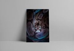 Black and Gray Snake with Blue Eyes Art Wall Decor – POSTER 20×30