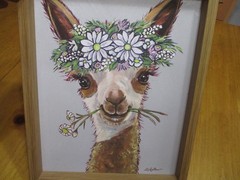 Alpaca Art Print»ROSIE» Daisy Flower Crown Llama Wall Art,2 Cute!,14 1/2″ X 12″