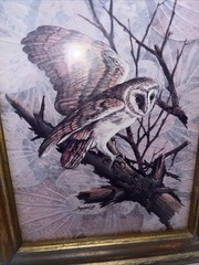 VTG Owl Framed Wall Art Set Of 2 Gold Wood Distressed Frames Rustic Nature Birds