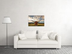 Longhorn Texas Landscape Canvas D?cor Art Print Room – POSTER 20×30