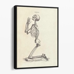 Praying Skeleton (Osteographia, 1733) Canvas Print Wall Art