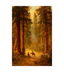 Beneath the Redwoods Western Poster or Canvas Fine Wall Art Home Decor Print