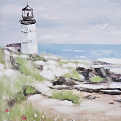 16 x 20 Picture in Black Floating Frame of Costal Lighthouse