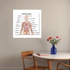82049 Anatomy Human Body Tutorials Map Wall Print Poster US