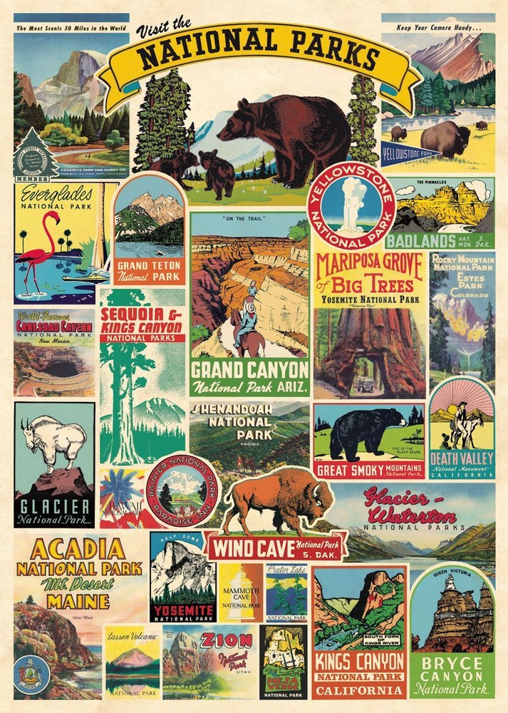 Cavallini & Co. National Parks 20″ X 28″ Decorative Paper/Poster/Wrap