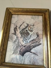 VTG Owl Framed Wall Art Set Of 2 Gold Wood Distressed Frames Rustic Nature Birds