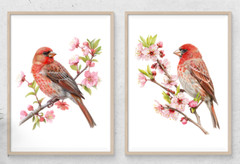 Bird Wall Art Prints, Set of 2 Red Chested Finch Art Prints, Wall Art Decor