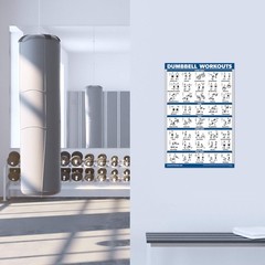 Palace Learning 4 Pack – Dumbbell Workout Posters Volume 18″ x 24″, LAMINATED