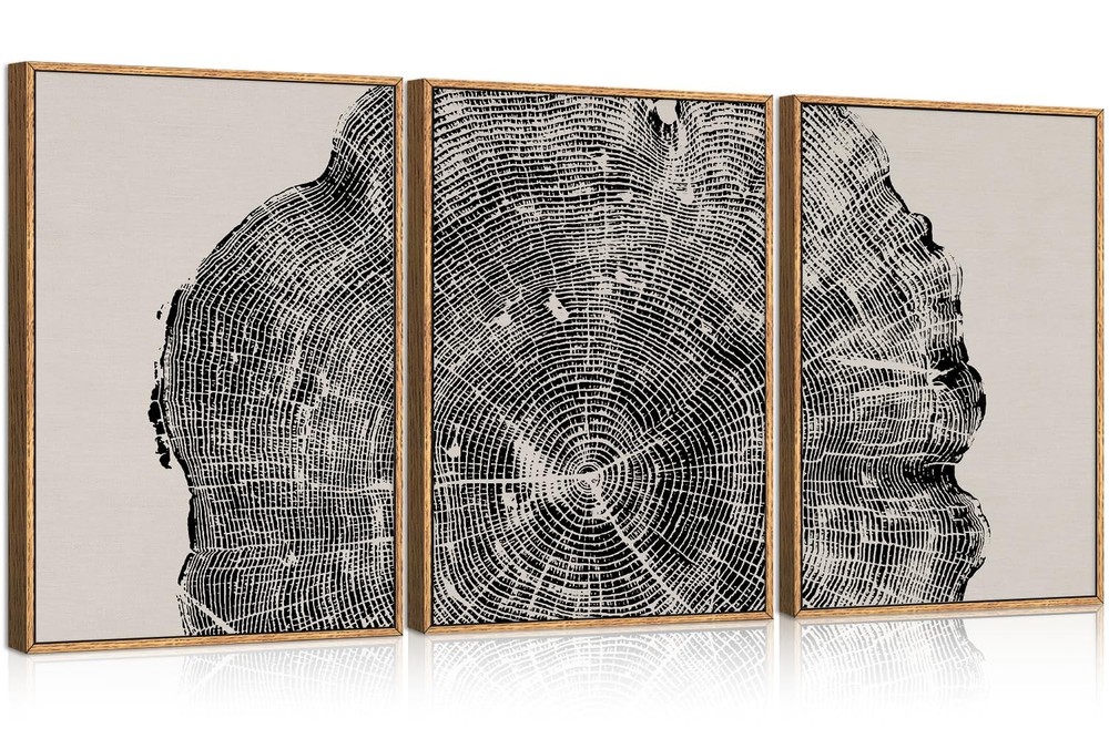 CHDITB Framed Wood Tree Rings Wall Art Set, 16x24in Black and White Canvas Ar…
