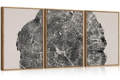CHDITB Framed Wood Tree Rings Wall Art Set, 16x24in Black and White Canvas Ar…