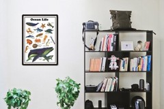 Ocean Life Poster, Starfish, Whale, Jellyfish, Dolphin, Shark, Lobster