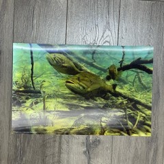 3D Art Wildlife Hologram Lenticular Poster Fish Bass School Place Mat 17”x11”