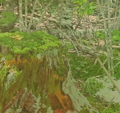 NEIL WELLIVER Stump 34″ x 20″ Offset Lithograph 1975 Contemporary