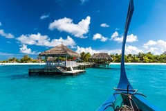 Beautiful Maldives Beach and Jetty with Bungalow Photo Photograph Poster 36×24