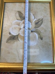 Set of 2 Gold Framed Floral Prints Magnolia Janine’s Garden Bela Bodo Wall Art