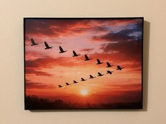Set Of Three 8.5×11 Photos (NO FRAMES) Select Any 3 Photos From My SellerProfile