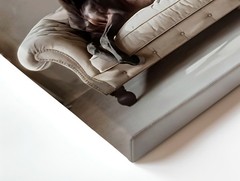 Wall Art Brown Horse on Tufted Sofa Canvas Print Rustic Farmhouse Home Decor