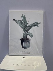 Canvas Print Wall Art 1 2X 16- Potted Palm 3 paintings