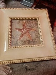 Nautical Beach Framed Prints (3) Starfish, Shell And Sand Dollar 11×11.