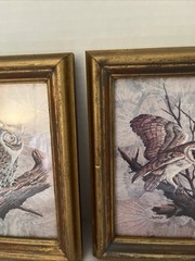 VTG Owl Framed Wall Art Set Of 2 Gold Wood Distressed Frames Rustic Nature Birds