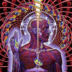 TOOL Lateralus Album Music Album Cover Poster Print 12 x 12