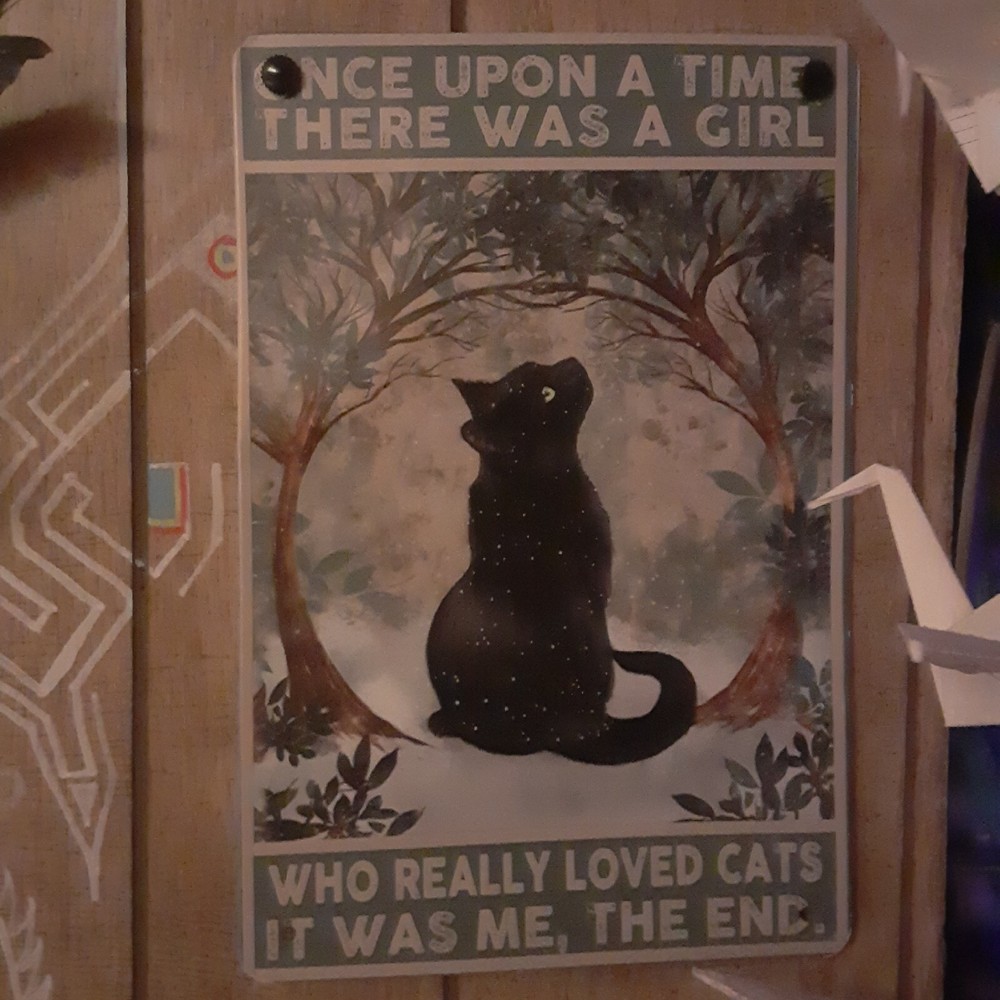 Black Cat Once Upon a Time There was a Girl Who Really Loved Cats Lover Special