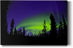 Northern Lights Wall Art Nature Forest Landscape Canvas Print 32”X48” Aurora Bor