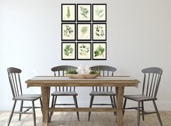 Herbs Spices Kitchen Wall Art Set of 9 Prints Beautiful Botanical Thime Unframed